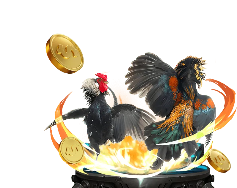 Các lợi ích khi cá cược tại bongvip win